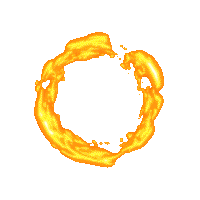 Tặng 2%